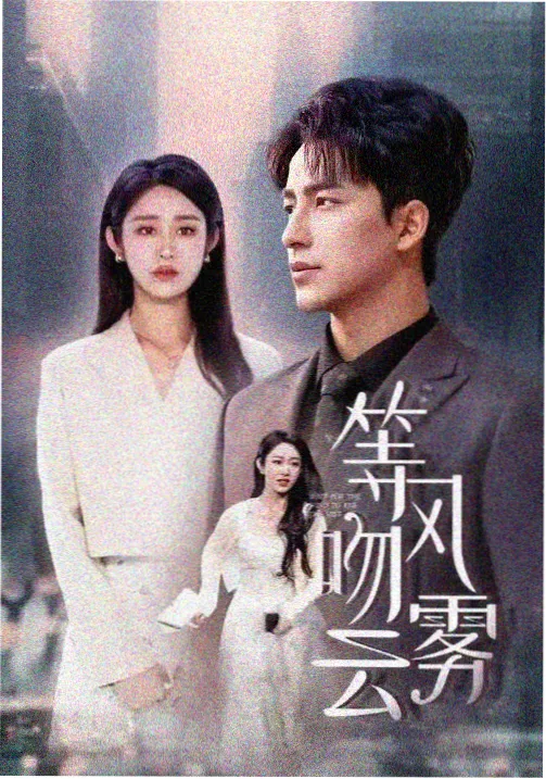 综合型索引站条目观察示意